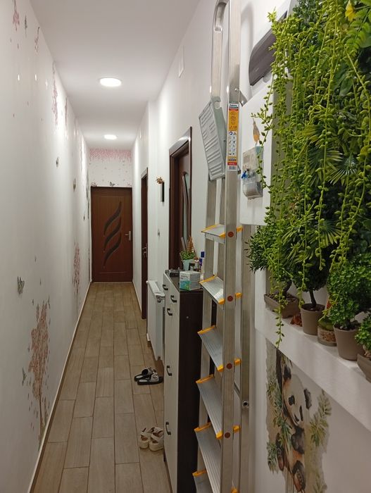 Ap 2 camere la curte