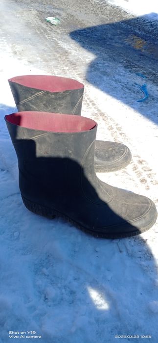 Сапоги резиновые