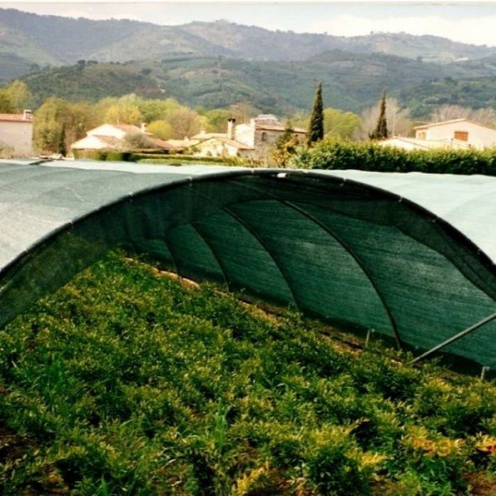 Plasa 50% Umbrire/Protectie Verde,Ochiuri Prindere, 6x50m=585lei/rola