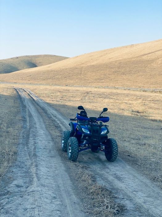 Квадроцикл гризли 200