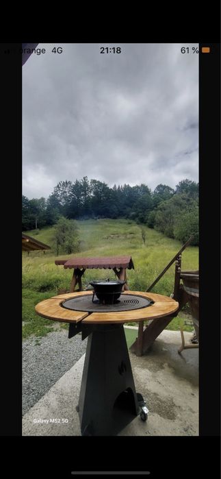 Gratar +  plita, in septembrie sort piele cadou