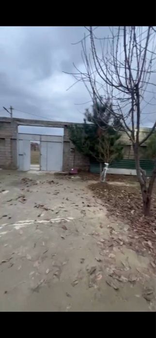 Назарбекда (Зангиота тумани) 22,8 сотих ер ва уй сотилади худжатла бор