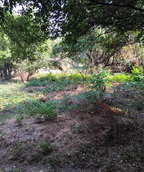 Продава се Къща в с. Мламолово, Област Кюстендил - 100 кв.м за 215 €/кв.м - Снимка #1