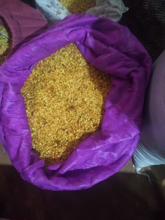 Балгар калампмр уруглари сотилади