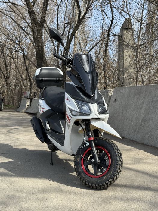 ДОКУМЕНТАМИ СКУТЕР оптом и в розницу