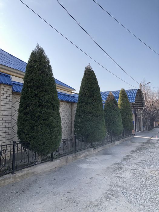 Садовник на дому