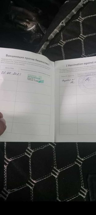 Драдхар сатылады