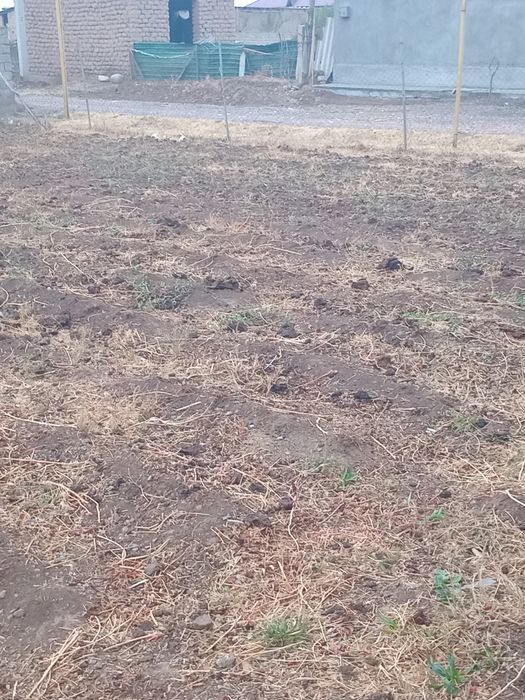 Yer sotiladi 2,5 sotiq