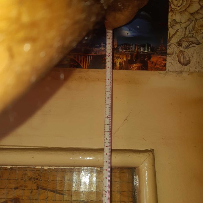 Дървена входна врата