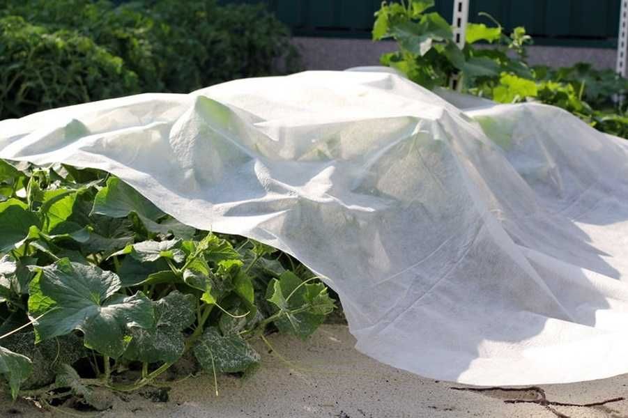 СпанБелЭко укрывной материал