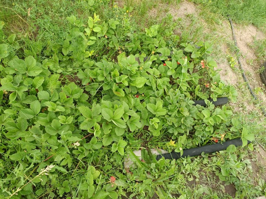 Продам большой дом