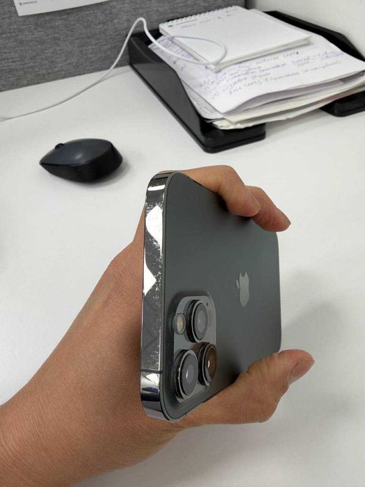 iPhone 12 Pro Max 256