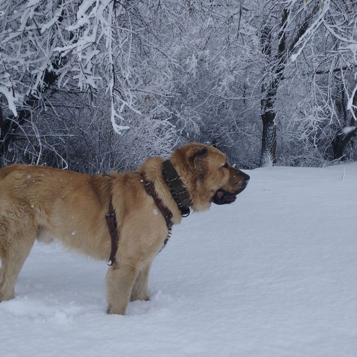 Открыт для вязок.
