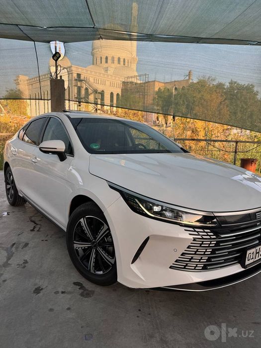 Byd Chazor gibrid