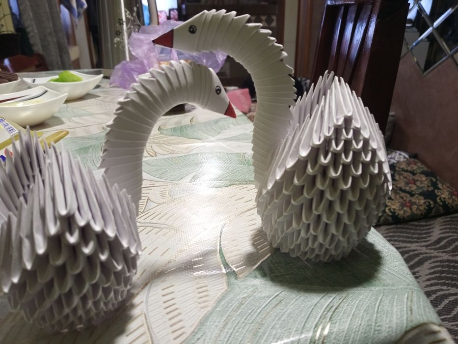 Qogʻoz oqqushlar sotiladi