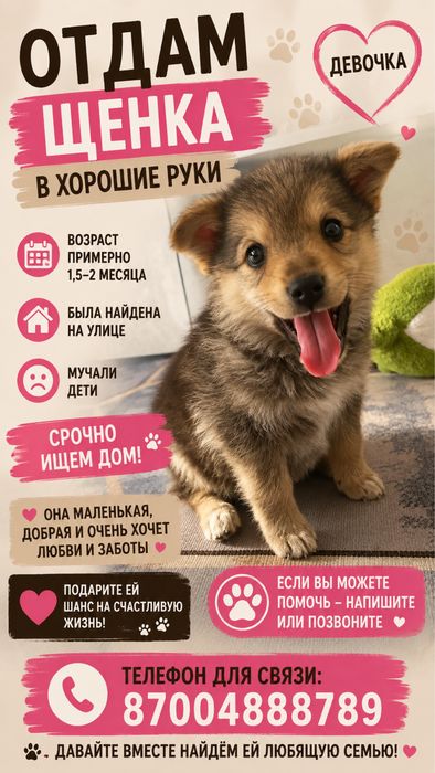 Щенок в хорошие руки