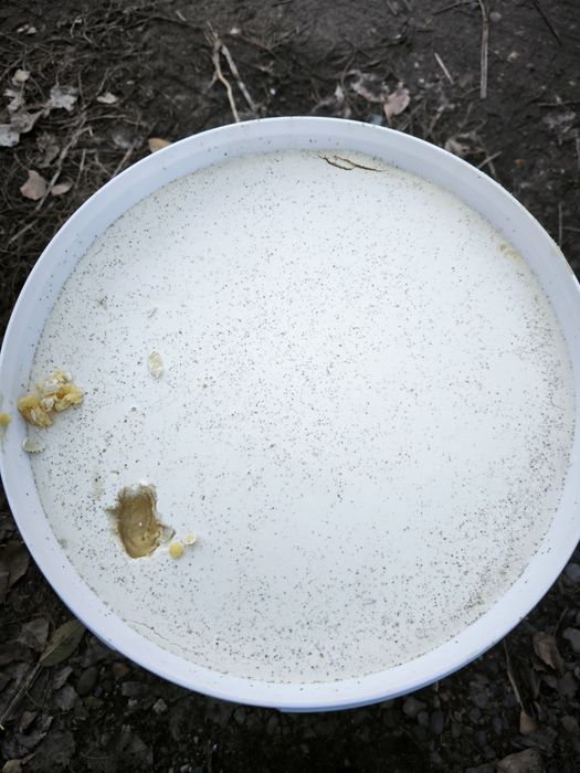 Продается натуральный мёд