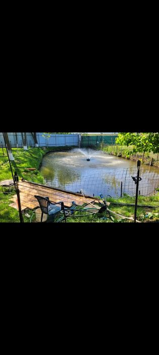 Casuta Tomi - un Colț de RAI - Locație aniversări evenimente petreceri gradina foișor gratar piscina iarba verde jocuri relaxare deconectare pescuit