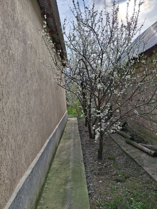 Тез арада үй сатылады