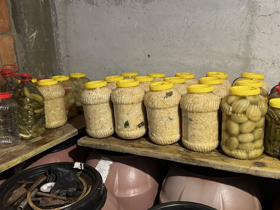 Vând varză  murată pentru sarmale și tocată ,gogonele la borcane ,vrac