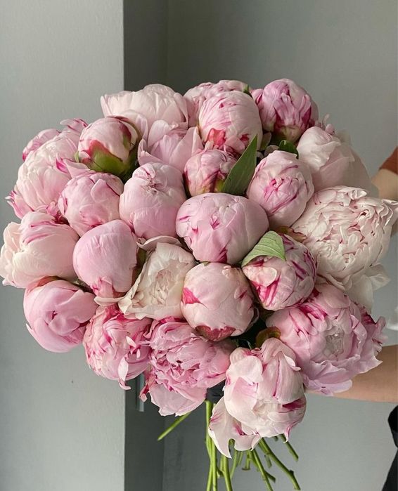 Пионы Астана цветы букеты