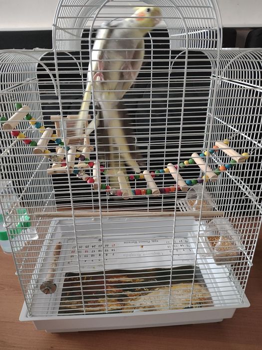 Клетка с папагал КОРЕЛА