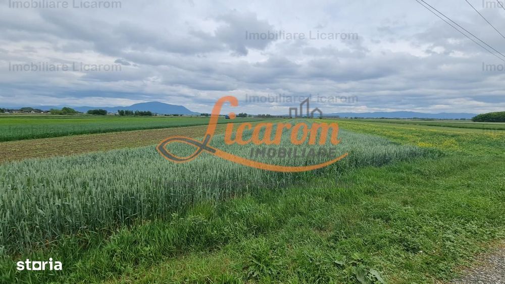 Teren Stupini Calea Feldioarei 4600 mp,21 euro/mp, front la asfalt
