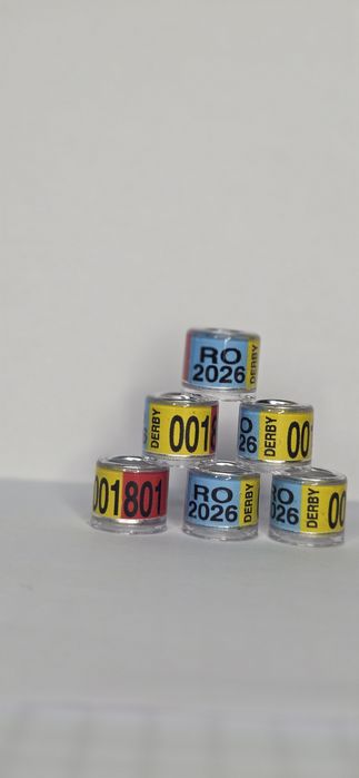 Inele Porumbei..clipsuri..Suporti Inele..Oua de plastic