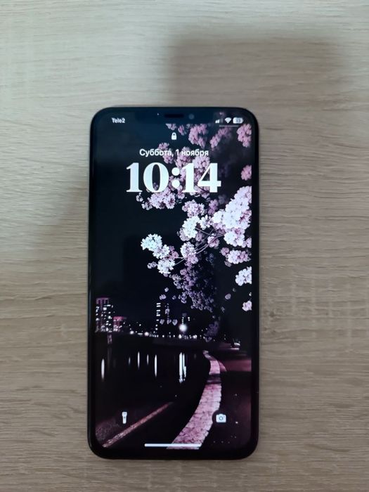 IPhone xs max 256 гб 100 проц