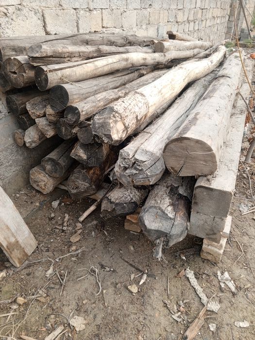 Болол бурус Лар сотилади