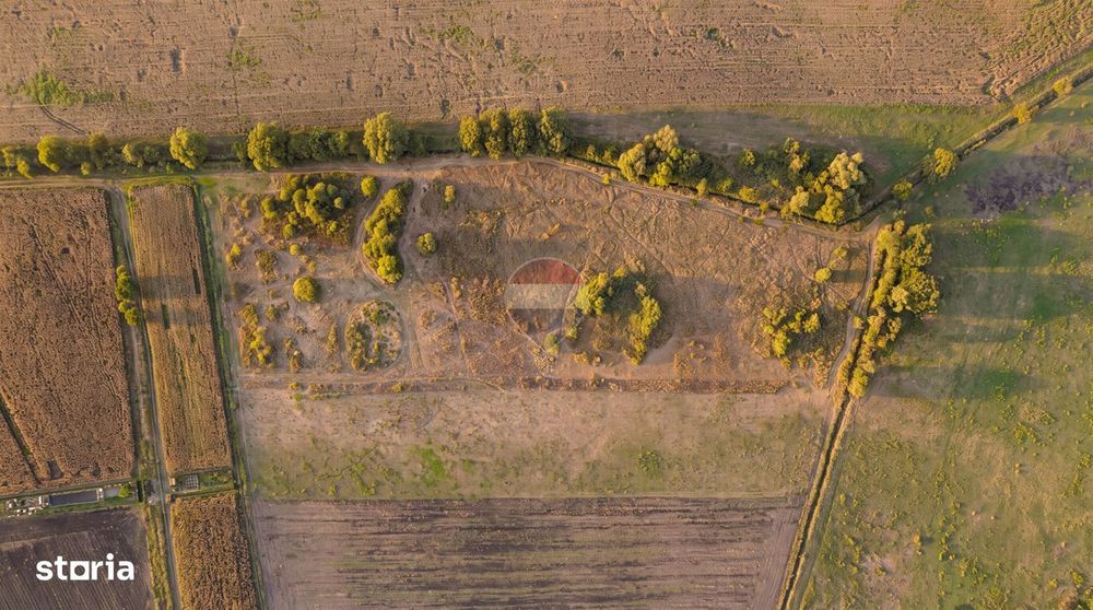 Teren extravilan 44.000 mp (4,4 ha) | Hărman | Comision 0%