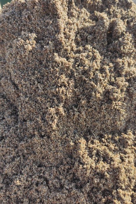 Chinoz qum Optim qarizga ishlaymiz