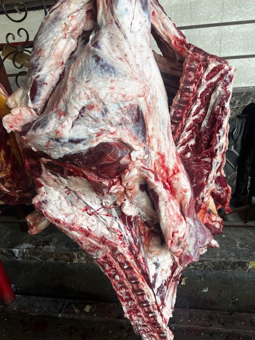 Мясо говядины баранины и конины