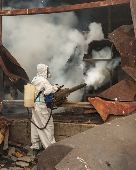 Уничтожение Тараканов Клопов Қандала Дезинфекция Дезинсекция