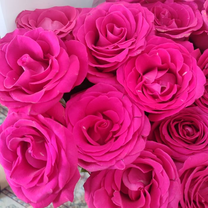 Розы . Цветы . Букет