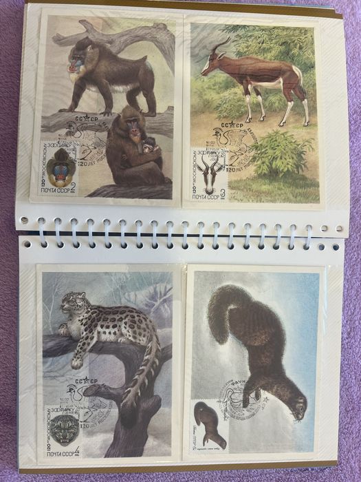 Album Maxime cu animale