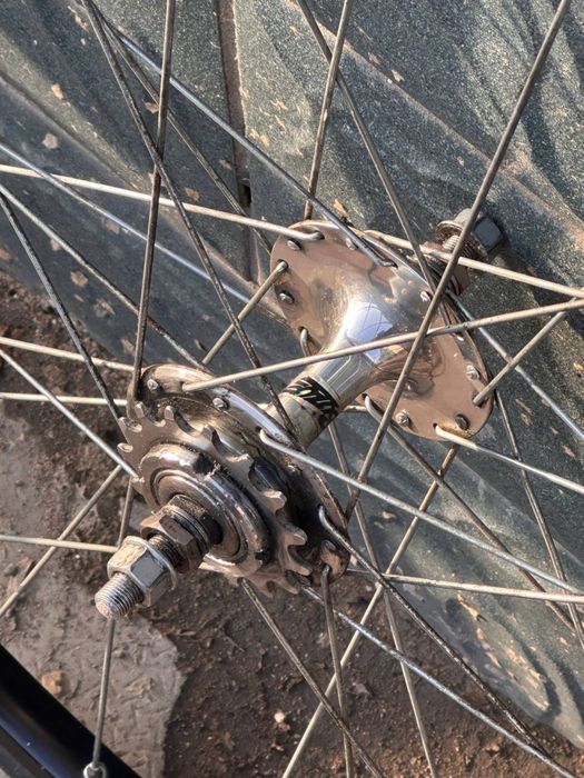 H plus son tb14 x suzue pro max