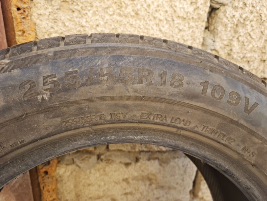 Зимняя резина Triangle