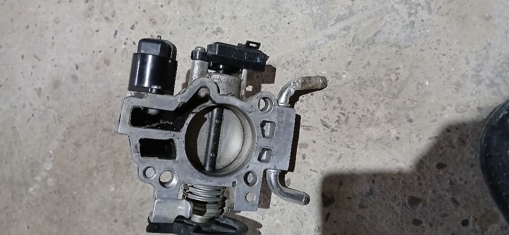 Zasulonka neksiya gibrid