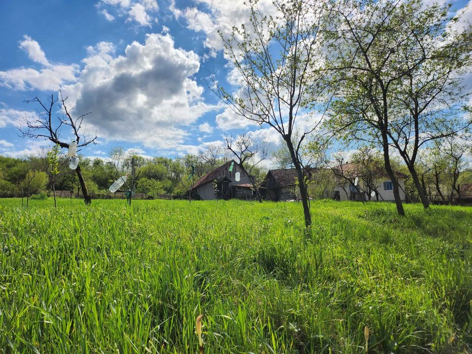 Colț de liniște și tradiție în Sălaj –teren generos + casă bătrânească