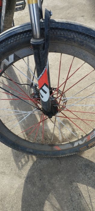 Velasapit shumanomax