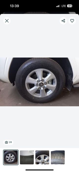 Диски с ризиной