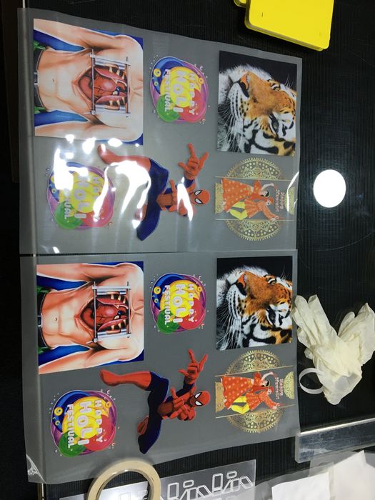 Print DTF Sticker haine