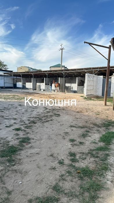 Продам или сдам в аренду дом