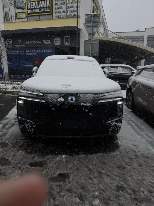 Denza N8L Full Position