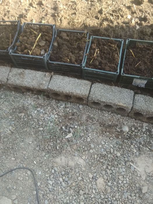 100% кайта ишланган биогомус сотилади.