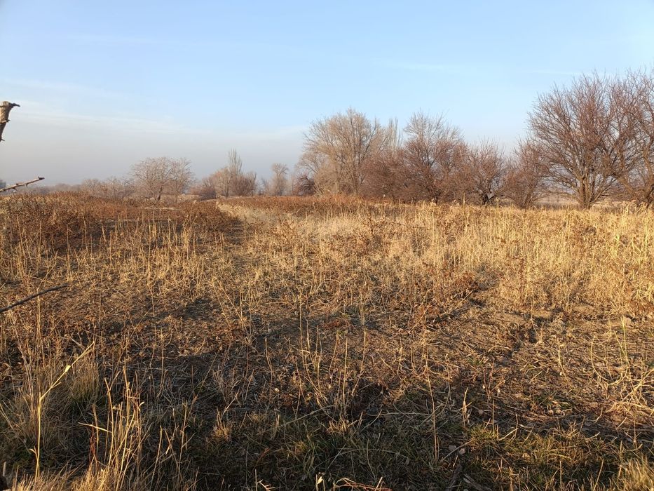 Сдам в аренду участок