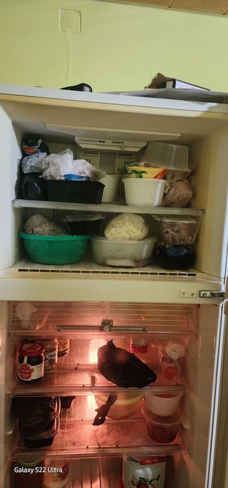 Продаю халоденик