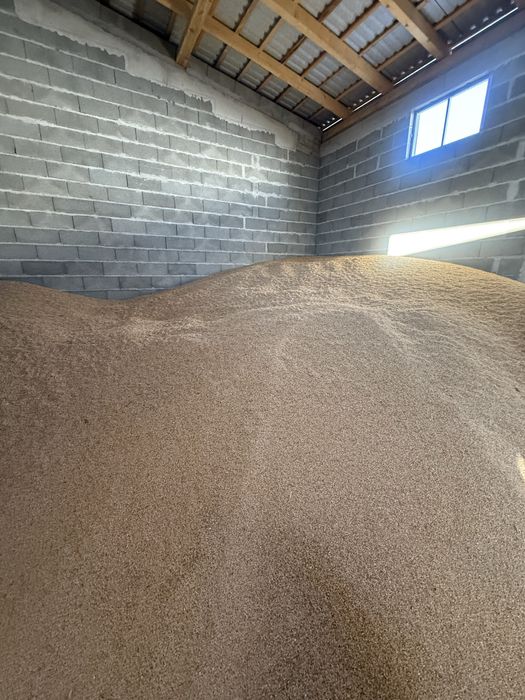 Vând triticale  grau ovaz porumb