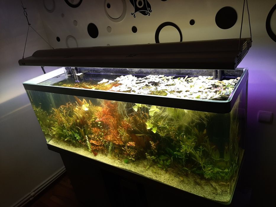 Acvariu mare de vanzare